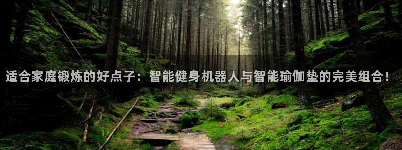 征途国际平台注册：适合家庭锻炼的好点子：智能健身机器