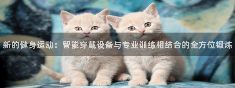 征途国际招商电话地址查询
