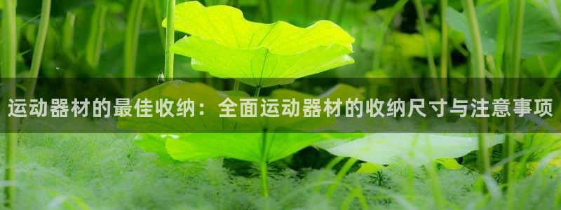 征途国际招商电话地址是多少：运动器材的最佳收纳：全面