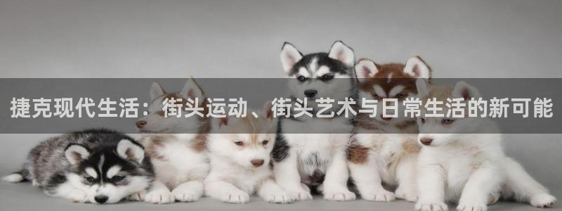 征途国际集团官网：捷克现代生活：街头运动、街头艺术与日常生活