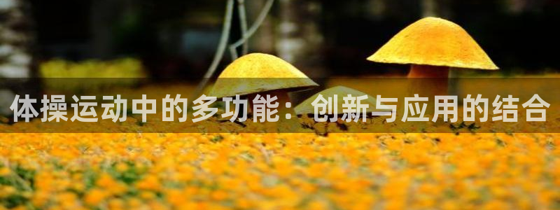 征途国际娱乐首页官网下载：体操运动中的多功能：创新与应用的结