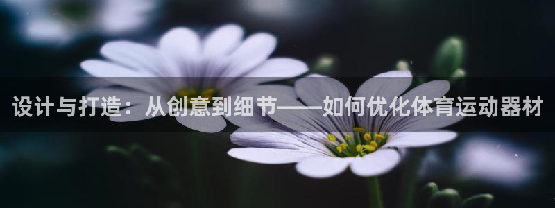 征途国际招商：设计与打造：从创意到细节——如何优化体