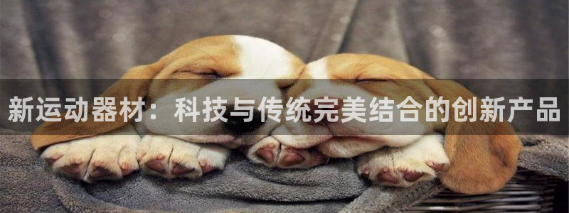 征途国际官方客服电话