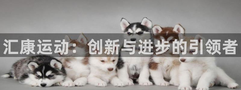 征途国际集团官网首页网址：汇康运动：创新与进步的引领
