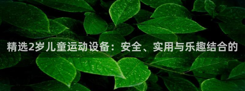 征途国际集团官网首页网址：精选2岁儿童运动设备：安全、实用与