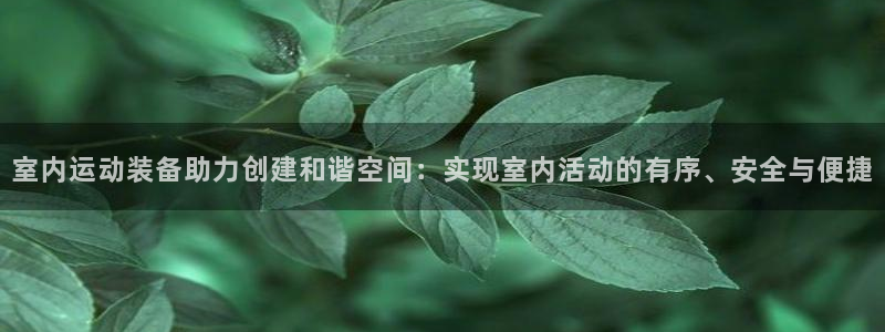 征途国际集团简介：室内运动装备助力创建和谐空间：实现