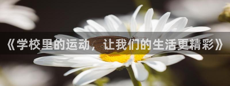 征途国际招商电话是多少啊：《学校里的运动，让我们的生