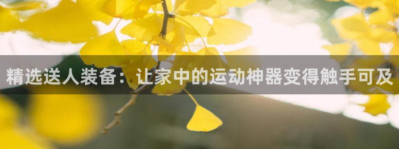 征途国际官网：精选送人装备：让家中的运动神器变得触手可及