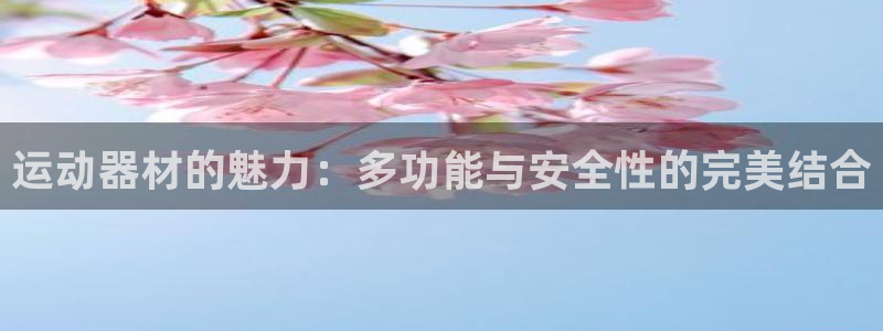 征途国际代理：运动器材的魅力：多功能与安全性的完美结合