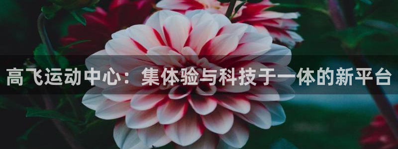 征途国际代理：高飞运动中心：集体验与科技于一体的新平台