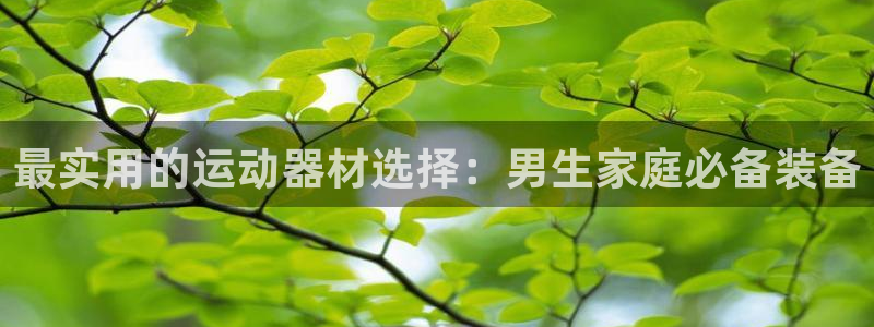 征途国际娱乐代理怎么样