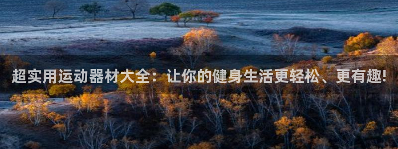 征途国际平台APP：超实用运动器材大全：让你的健身生