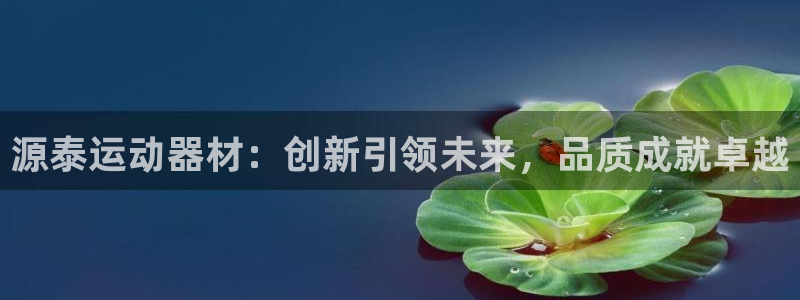 征途国际招商电话号码