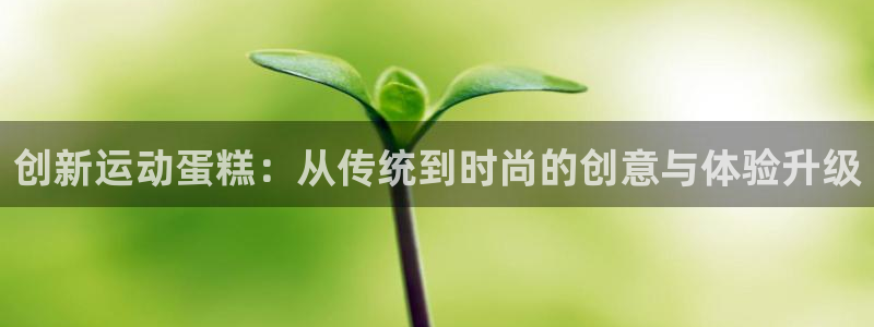 征途国际官方客服电话：创新运动蛋糕：从传统到时尚的创意与体验